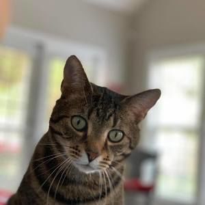 Meet your Posher, Ashton